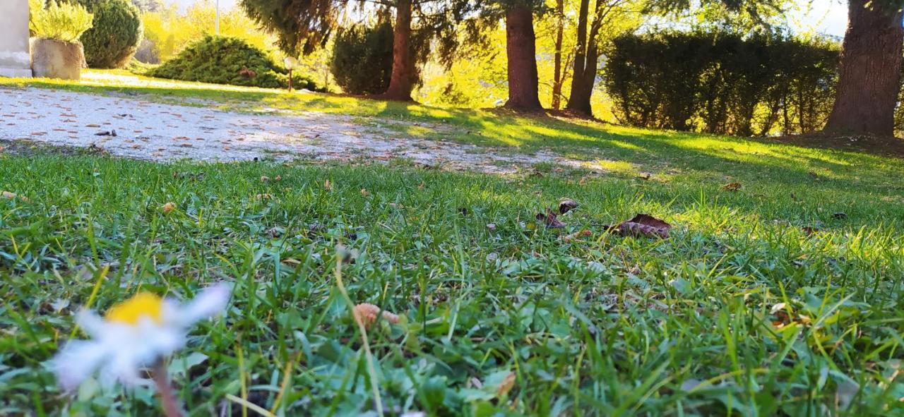 Green House Next - Lovely Apartment For Family And Free Parking Levico Terme Zewnętrze zdjęcie