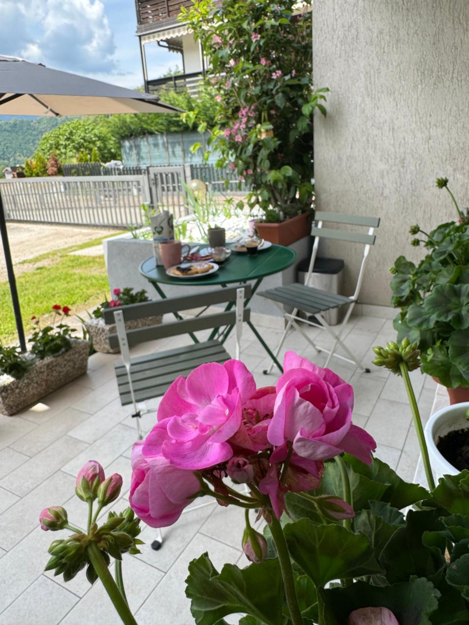 Green House Next - Lovely Apartment For Family And Free Parking Levico Terme Zewnętrze zdjęcie