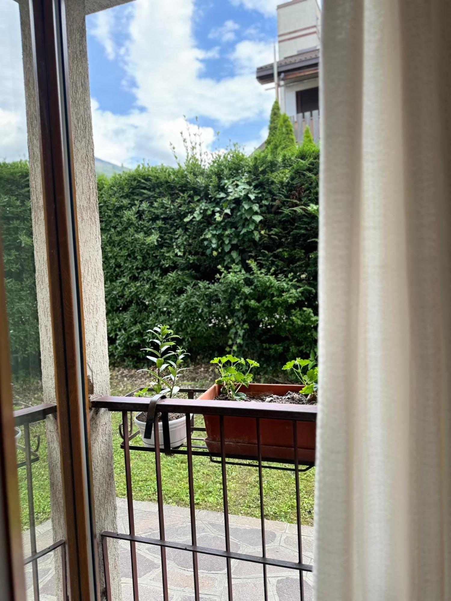 Green House Next - Lovely Apartment For Family And Free Parking Levico Terme Zewnętrze zdjęcie